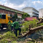 🧹✨ Big Cleaning Day เตรียมความพร้อมก่อนเปิดภาคเรียน 🏫🌿